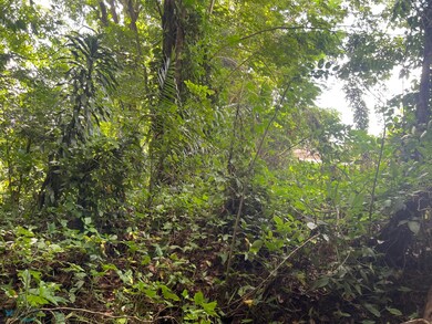 8 Calle Vanda, Guaynabo, PR 00966 - photo 4