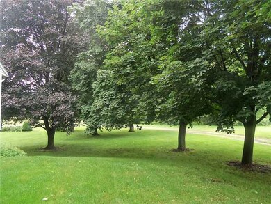 Yard/Garden