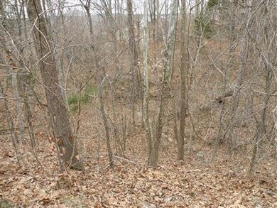 0 Binkley Ln unit 1100485, Bloomfield, KY 40008 - photo 2