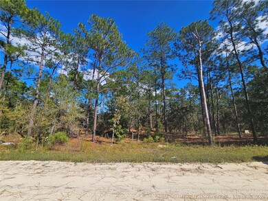 2171 SE 148 Ct, Williston Highlands, FL 32668 - photo 5