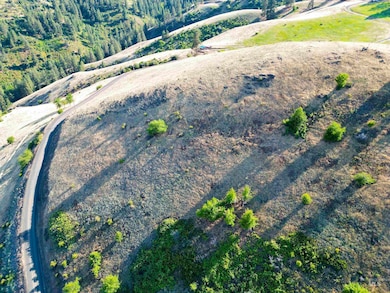 Aerial view of property's location