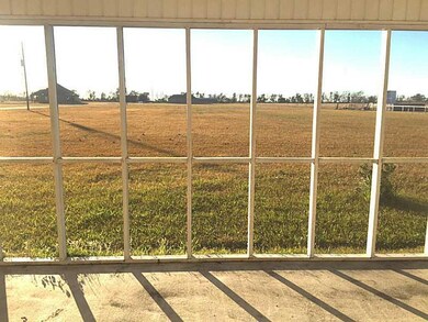 Yard/Garden.