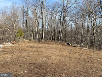 0 Hackleys Mill Rd unit VARP2000338, Amissville, VA 20106 - photo 6