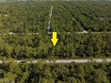 14142 Dunlap Ave, Port Charlotte, FL 33953 - photo 2