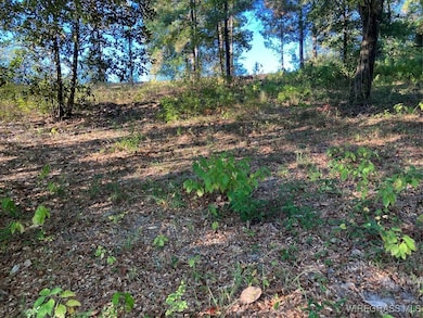 Lot 2 Sunshine Rd, Andalusia, AL 36421 - photo 2