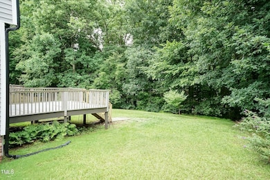 Back Yard 02