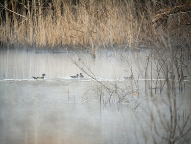 0 Tbd Upper River Rd, Macon, GA 31211 - photo 5