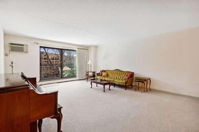 10531 Cedar Lake Rd unit 418, Hopkins, MN 55305 - photo 7