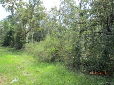 1666 E Sheridan Ln, Hernando, FL 34442 - photo 2