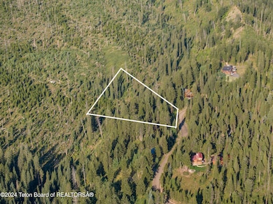 6880 Lupine Trail, Wilson, WY 83014 - photo 6