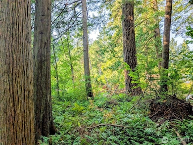 2 Mill Rd, Point Roberts, WA 98281 - photo 4