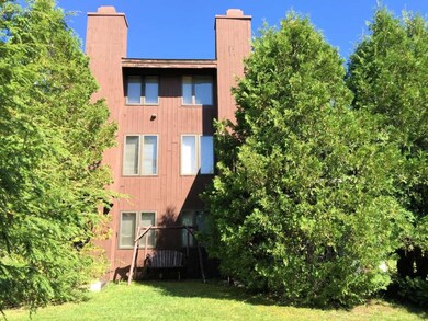 86 Ridges Way unit 401, Peru, VT 05152 - photo 2