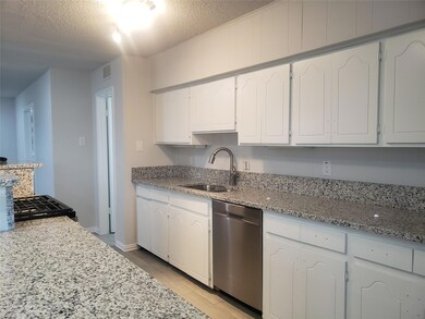 1 S Loop Dr, Cedar Hill, TX 75104 - photo 4