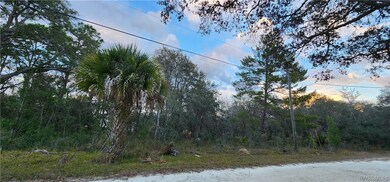 6685 W Merrivale Ln, Homosassa Springs, FL 34446 - photo 3