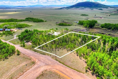 1527 Sheep Ridge Rd, Fairplay, CO 80440 - photo 2