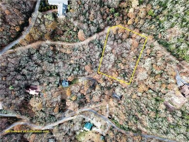 Birds eye with approx lot lines