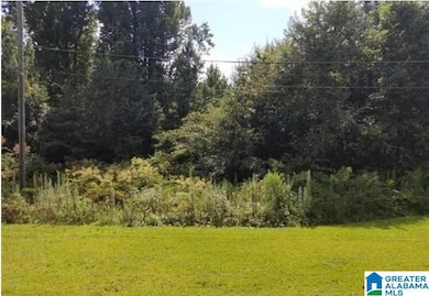 1112 11th St, Pleasant Grove, AL 35127 - photo 2