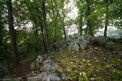 1617 Timberlane, Asheboro, NC 27205 - photo 5