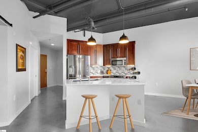 927 S Main St unit 309, Greenville, SC 29601 - photo 4