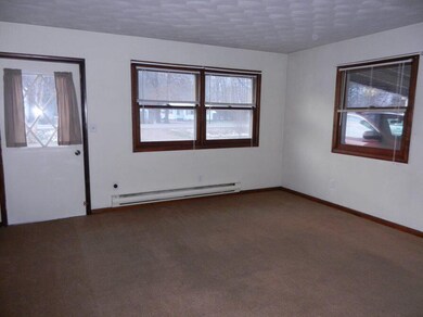 233 12th St, Plainwell, MI 49080 - photo 6