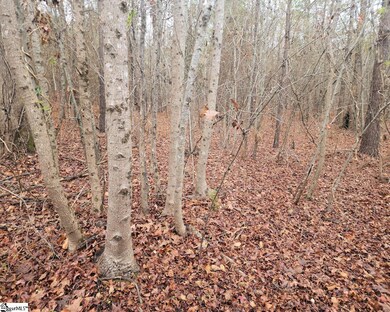 0 Scott Ln, Pelzer, SC 29669 - photo 4