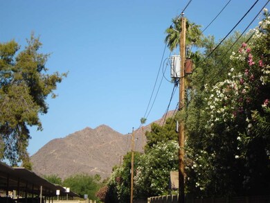 Camelback views