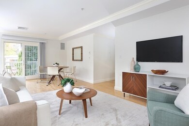 121 Centre St unit 201, Brookline, MA 02446 - photo 5