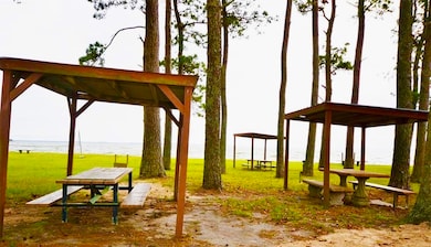 Impala Woods Picnic area overlooking Lake Livingst
