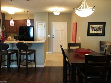 714 Aqua Marine Blvd unit 33, Avon Lake, OH 44012 - photo 7