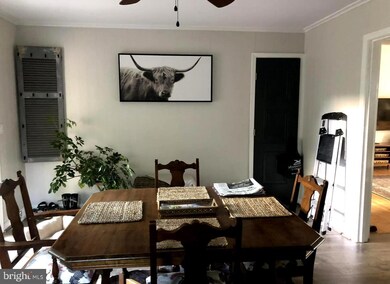 203 Maple St, Middleburg, VA 20117 - photo 5