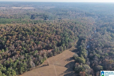 330 County Road 1055, Montevallo, AL 35115 - photo 2