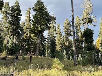 1255 Browning Rd, Duck Creek, UT 84762 - photo 3