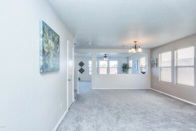 New Carpet