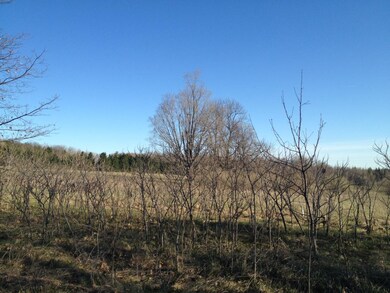 IMG_2028 (2)