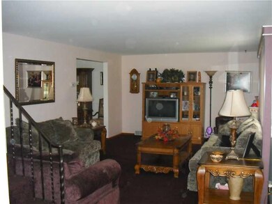Living Room. Spacious living room with plush wall 