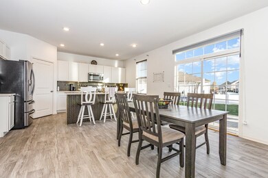 25602 W Cerena Cir, Plainfield, IL 60586 - photo 6