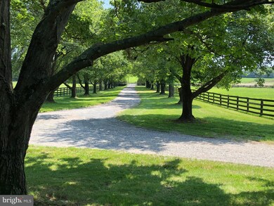 4800 Ballenger Creek Pike, Frederick, MD 21703 - photo 4