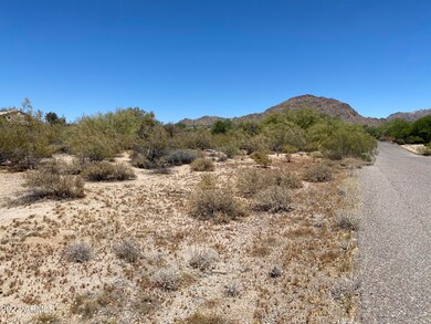 Sonoran Desert