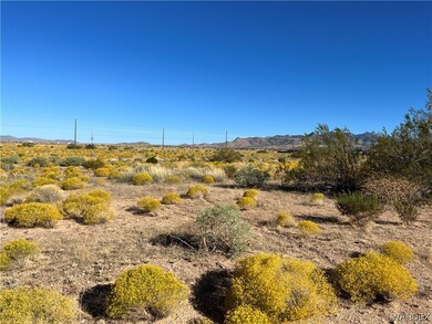 Standing near NE Property Corner Looking SSW
