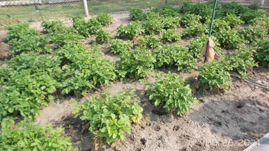large garden space