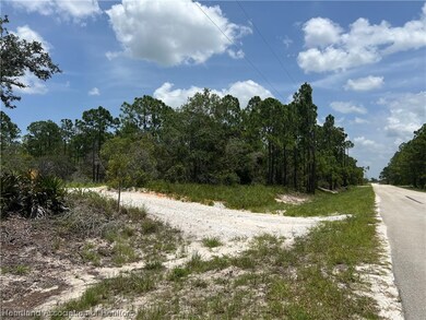 372 Jack Weisser Blvd, Lake Placid, FL 33852 - photo 7