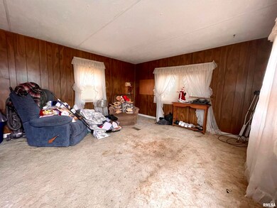 407 Marsh St, Harrisburg, IL 62946 - photo 4