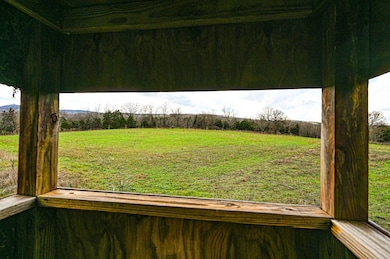 1273 County Rd A-435, Ava, MO 65608 - photo 2