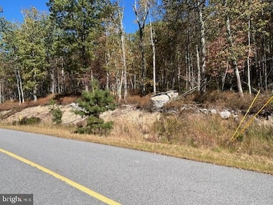 Lot 11 Chippewa Dr, Hazleton, PA 18202 - photo 2