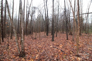 4+/-AC LOT 4 Eaker Rd, Kings Mountain, NC 28086 - photo 6