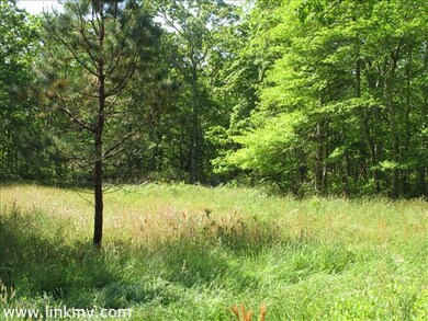 looking towards the house site
