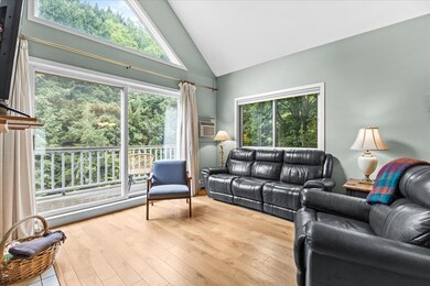 114 S Main St unit F5, Stowe, VT 05672 - photo 5