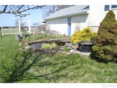 Yard/Garden