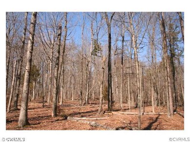 Land/Lot