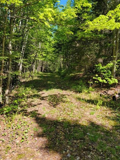 0 Mountain View Ln, Colebrook, NH 03576 - photo 6